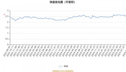 工银新蓝筹股票A：2025年上半年利润1428.54万元 净值增长率4.37%