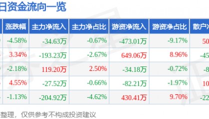 股票行情快报：金安国纪（002636）1月10日主力资金净卖出34.63万元