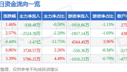 股票行情快报：天源迪科（300047）2月13日主力资金净卖出938.48万元