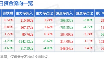 股票行情快报：数码视讯（300079）8月5日主力资金净买入210.30万元