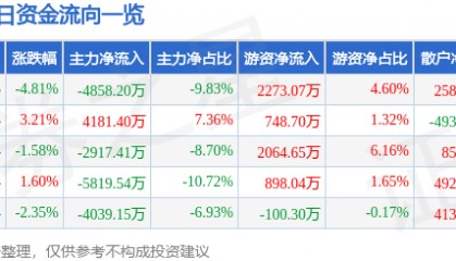 股票行情快报：数码视讯（300079）9月2日主力资金净卖出4858.20万元