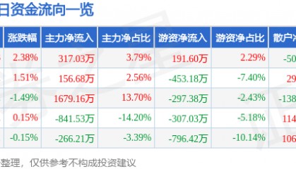 股票行情快报：合肥城建（002208）1月14日主力资金净买入317.03万元