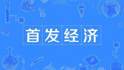首发经济龙头企业有哪些？哪些企业有发展潜力