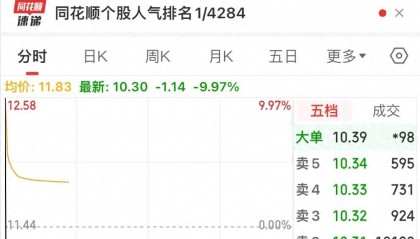 转眼被套20个点，3只开盘快速天地板跌停股票，前后不过几秒钟！