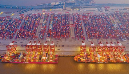 上海机场进口皮张，一站式报关服务登场