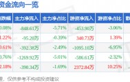 股票行情快报：峨眉山Ａ（000888）1月8日主力资金净卖出848.61万元