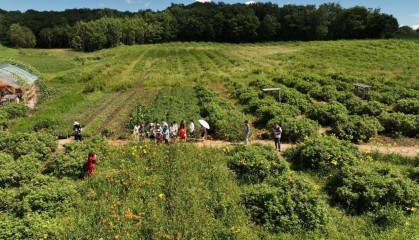 铁力市鲜花经济蓬勃发展 扮靓旅游产业发展之路