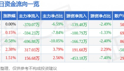 股票行情快报：合肥城建（002208）1月17日主力资金净卖出370.07万元