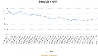 信澳蓝筹精选股票A：2025年上半年利润718.99万元 净值增长率4.01%