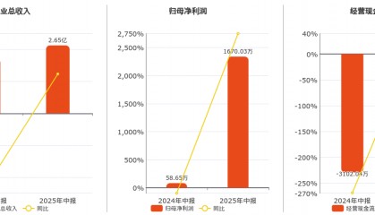数码视讯(300079.SZ)：2025年中报净利润为1670.03万元