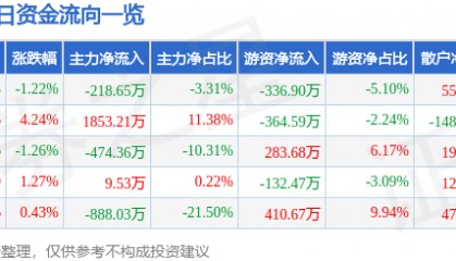 股票行情快报：怡球资源（601388）2月25日主力资金净卖出218.65万元