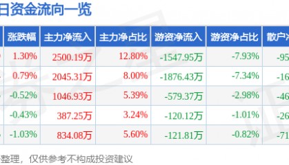 股票行情快报：黑猫股份（002068）3月25日主力资金净买入2500.19万元