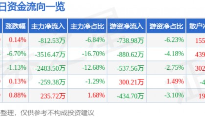 股票行情快报：合肥城建（002208）12月24日主力资金净卖出812.53万元
