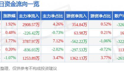 股票行情快报：东方国信（300166）8月5日主力资金净买入2908.57万元