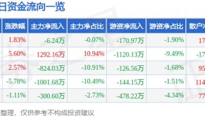 股票行情快报：恒大高新（002591）11月21日主力资金净卖出6.24万元