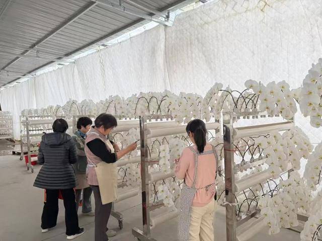 商河鲜花香飘海外