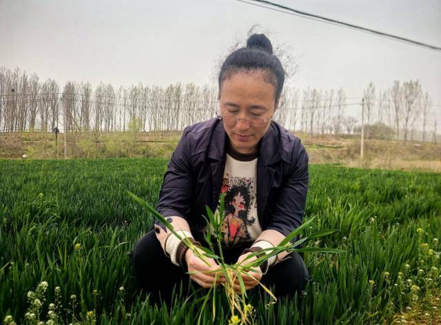 你学雷锋 我送鲜花 | 威海乳山:鲜花赠模范 礼赞劳动美