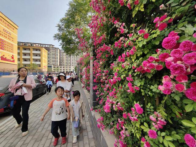 墙外鲜花靓古城