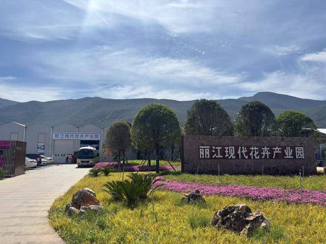 玉龙雪山下的“鲜花经济”