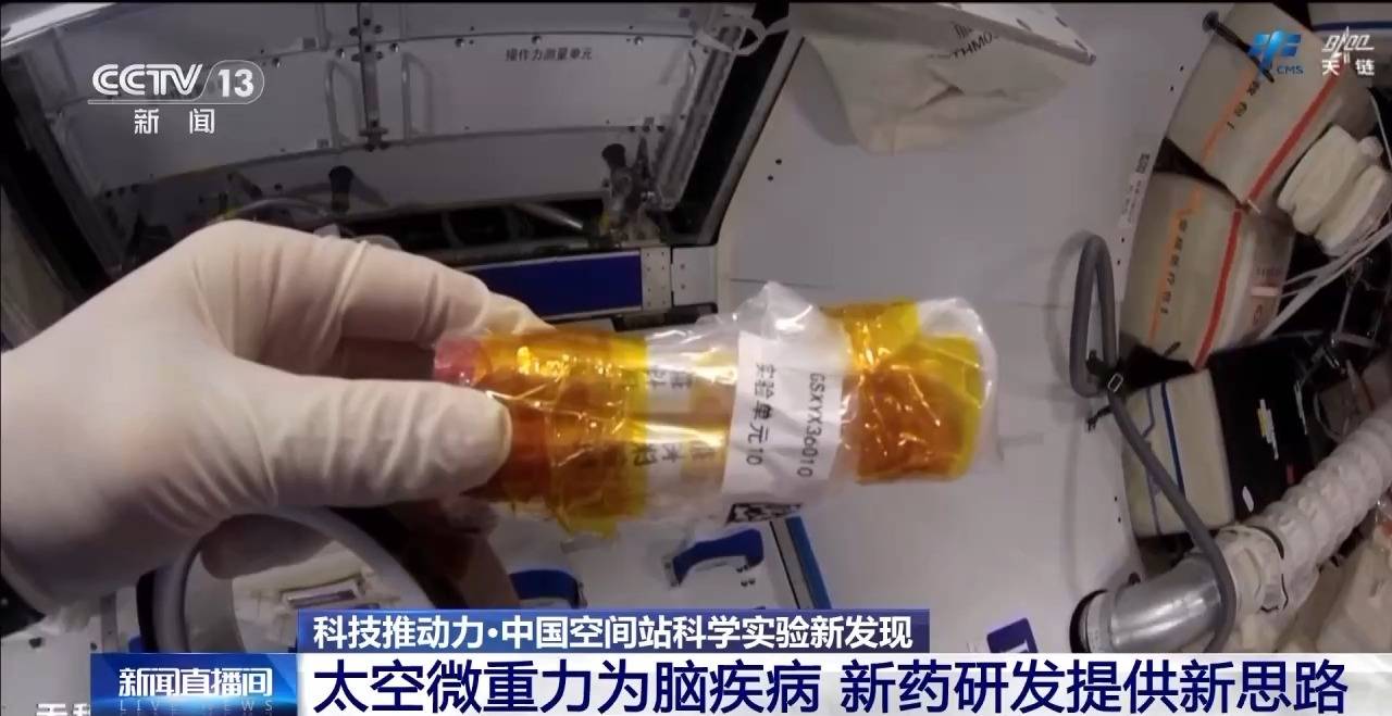 中国空间站完成空间生命科学在轨实验任务 还刷新一项新纪录