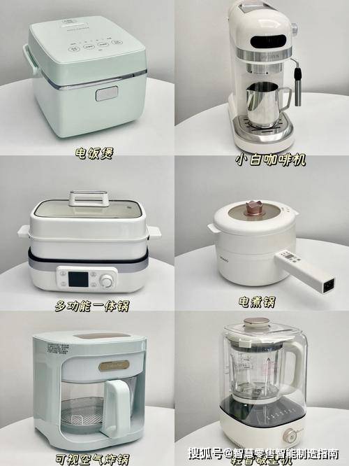 最新资讯,小家电行业龙头企业有哪些?哪些企业比较有发展潜力?