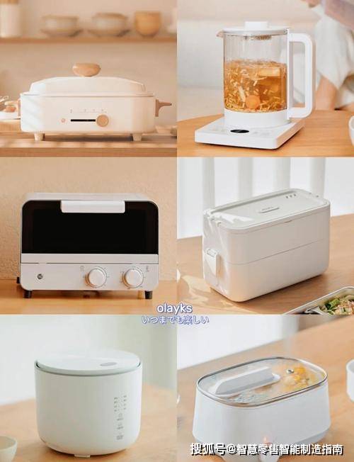 最新资讯,小家电行业龙头企业有哪些?哪些企业比较有发展潜力?