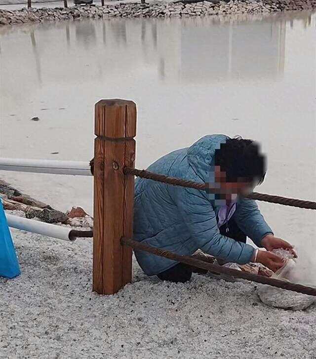 游客将茶卡盐湖铺路盐成袋装走 工作人员:原则上是不允许拿,可凭票免费领
