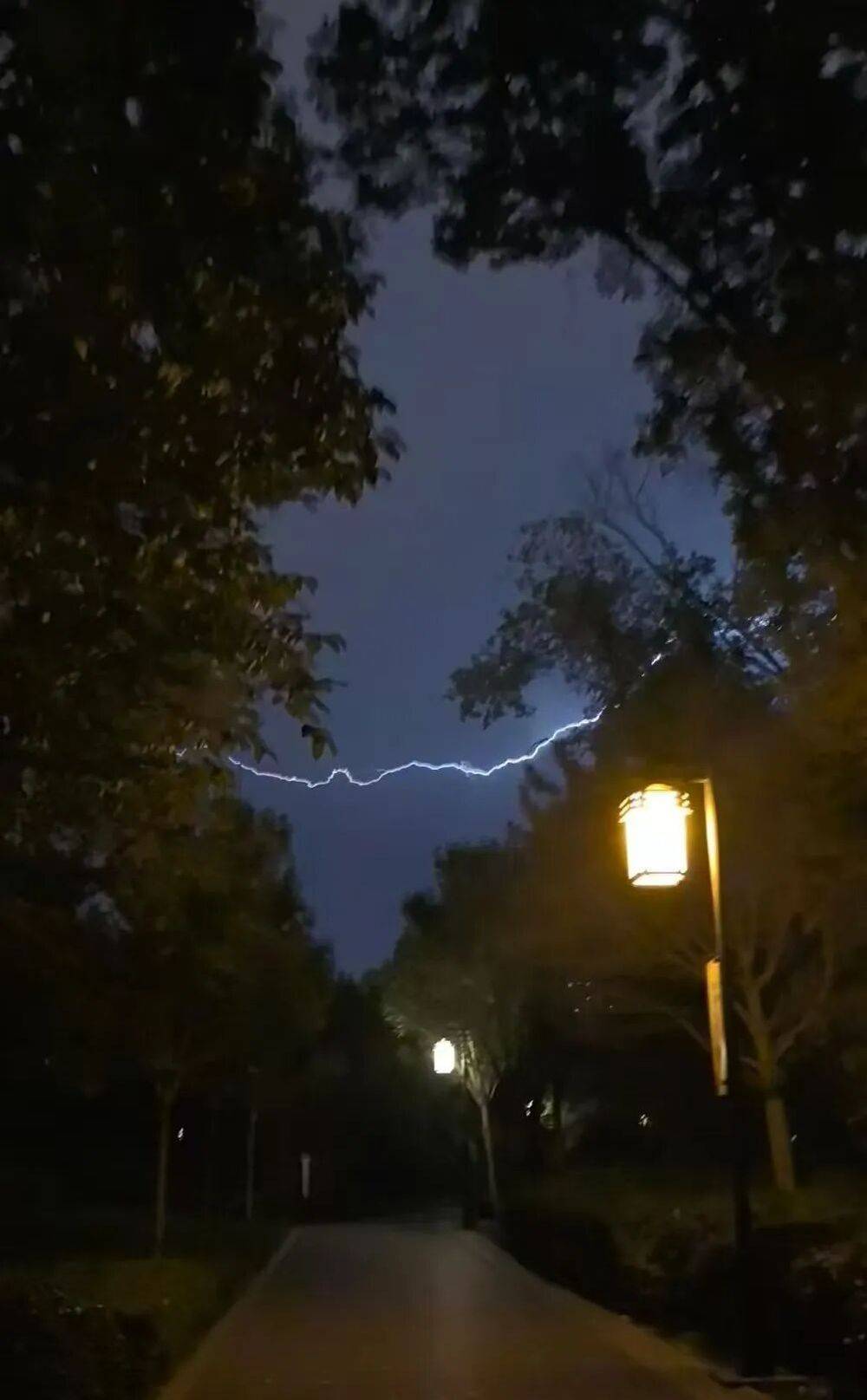 一场雷暴,400多人挤爆医院急诊科!雷雨天后要关窗