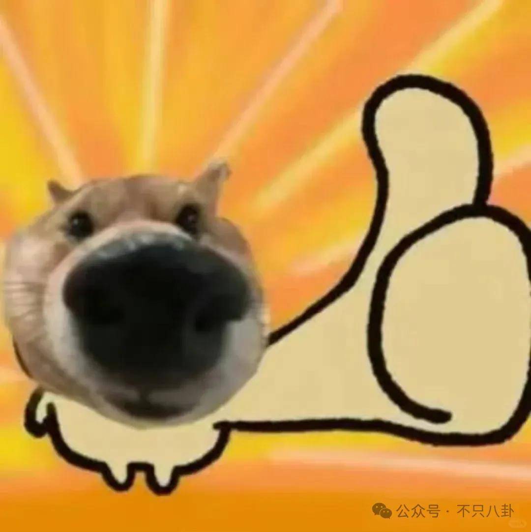 姐终于离了,这次总算是摆脱不靠谱的老公和强势的婆婆了!