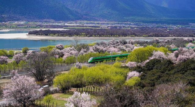 确保基本实现社会主义现代化取得决定性进展——写在党的二十届四中全会召开之际