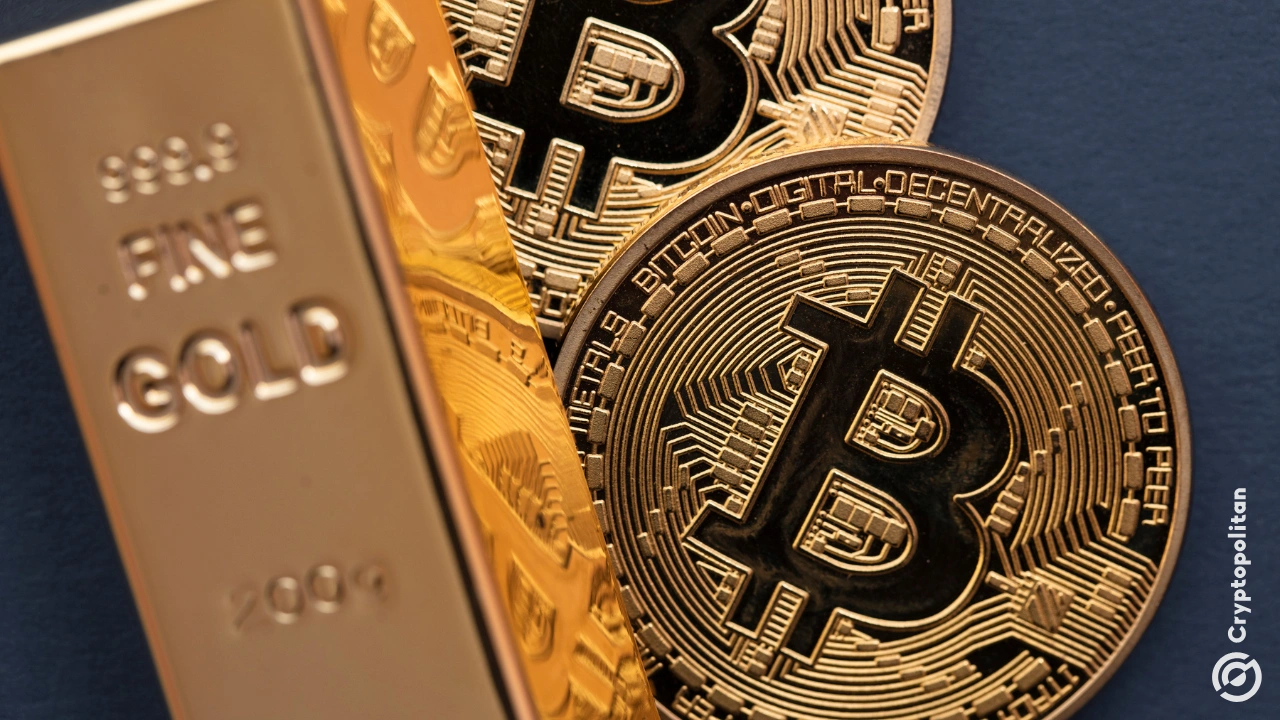 数字货币存储(数字货币存储器) 数字货币存储(数字货币存储器)